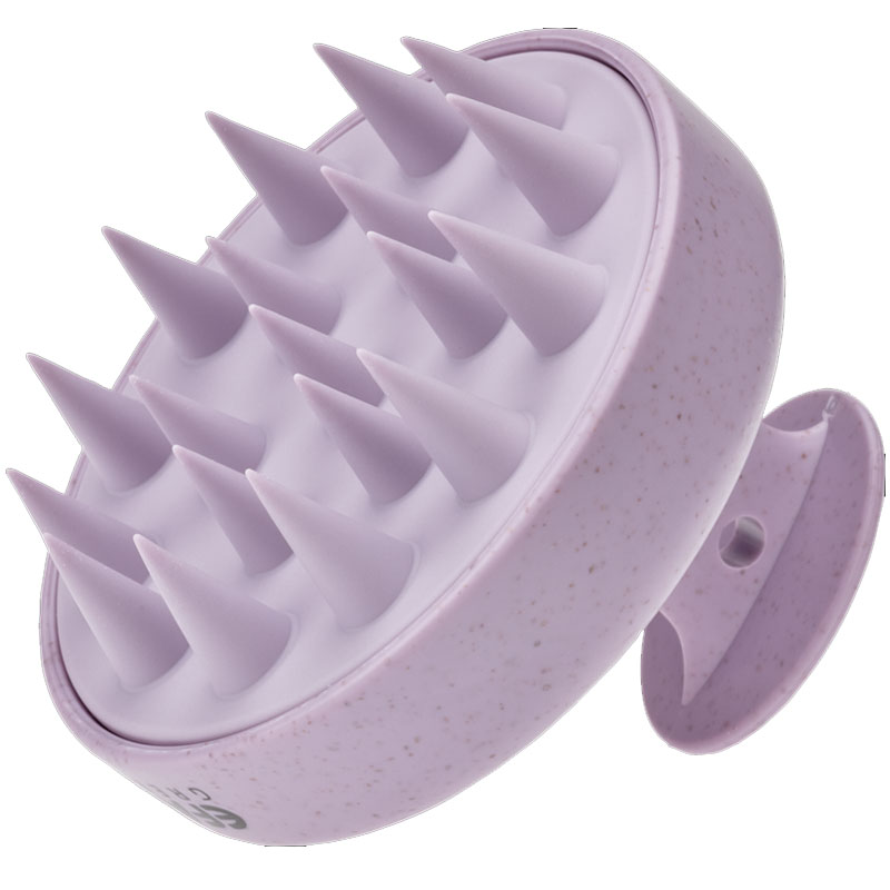 Brosse de massage Purple Green